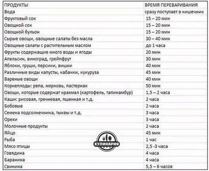 Сколько пища переваривается и выходит. Скорость переваривания продуктов таблица. Таблица переваривания продуктов в организме человека. Время переваривания пищи таблица. Таблица времени переваривания продуктов в желудке.