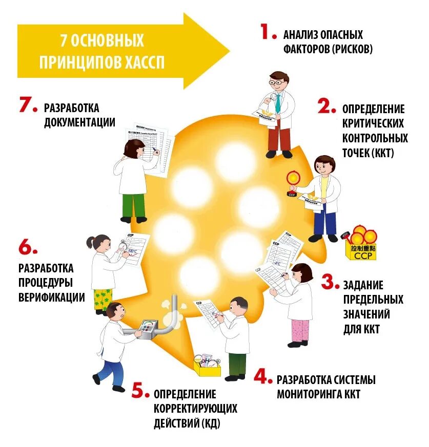 Принцип хассп в общественном питании. Принципах хассп питание. Хассп на пищевом предприятии что это такое. Хассп для пищевого производства. Основные принципы хассп на пищевых предприятиях.