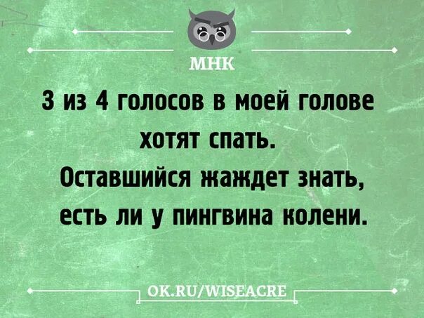 Поспать а не переспать. Бессонница юмор. Бессонница цитаты. Бессонница приколы. Анекдоты про бессонницу.