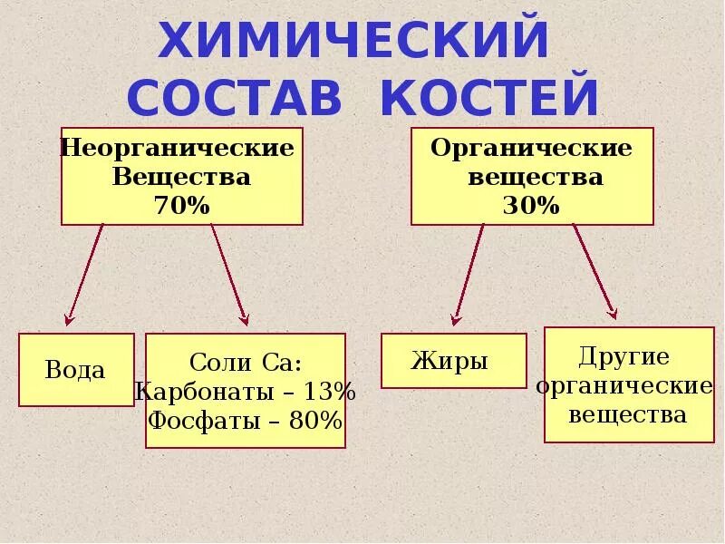 Вода органическая или неорганическая. Состав костей биология 8 класс. Химический состав костей схема. Химический состав костей схема 8 класс. Схема состав костей биология 8.