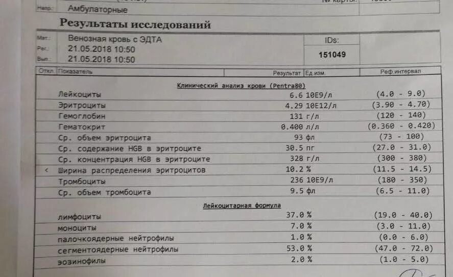 Повышенные эритроциты у женщин. Повышенные эритроциты у женщин