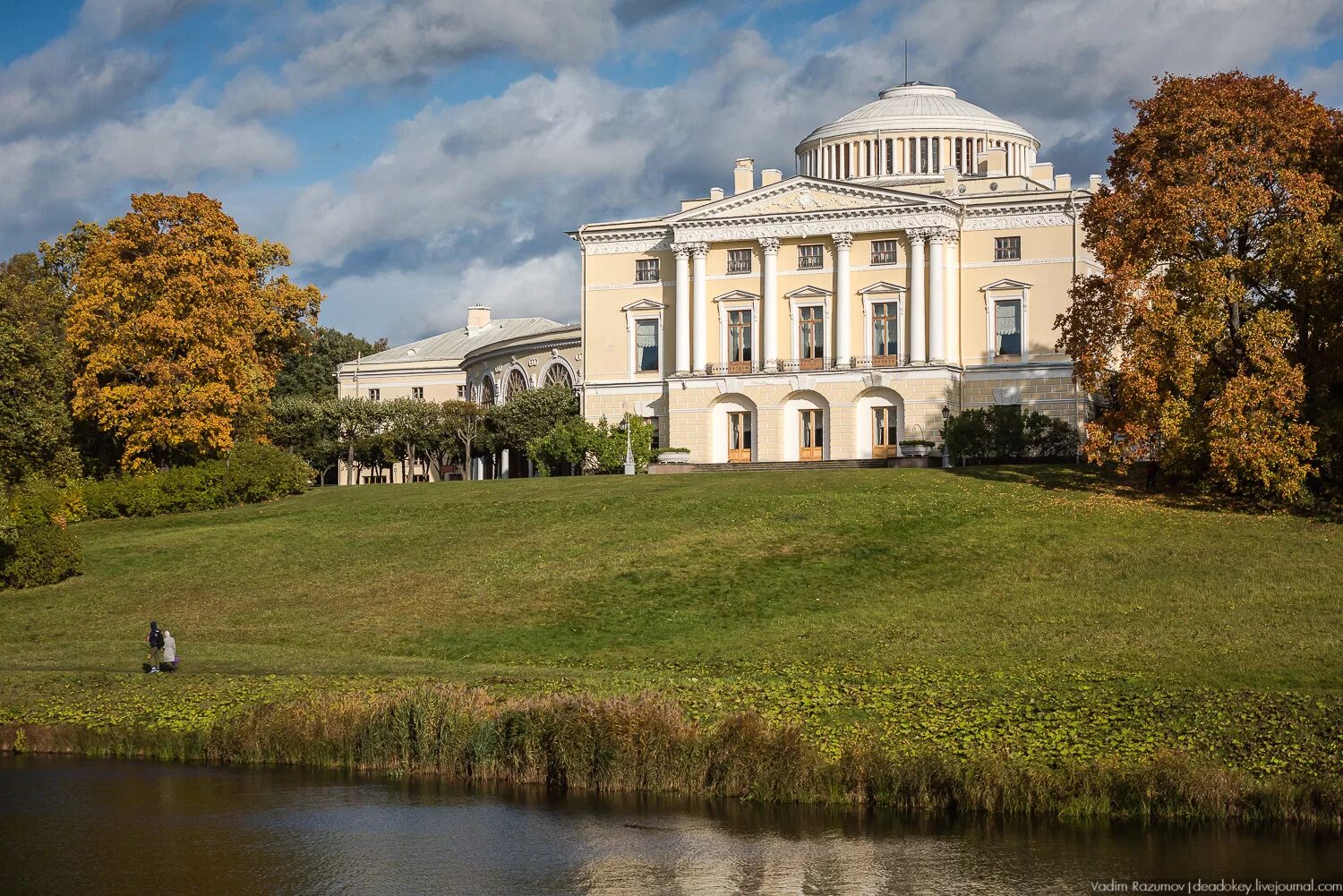 Павловск пригород Санкт-Петербурга. Павловский дворец и парк в Санкт-Петербурге. Павловский парк в Павловске Ленинградской области-. Усадьба Павловск. Институт семьи павловск