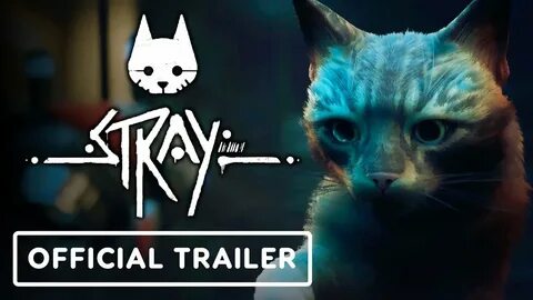Stray official