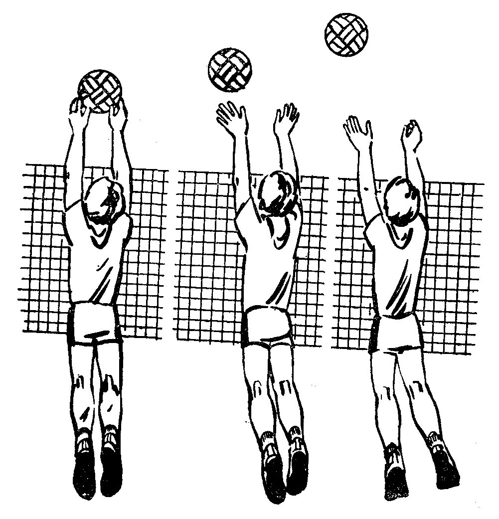 Бросок снизу в волейболе через сетку. Упражнения для волейбола. Бросок мяча в волейболе. Рисунок на тему волейбол. Сверху кидать