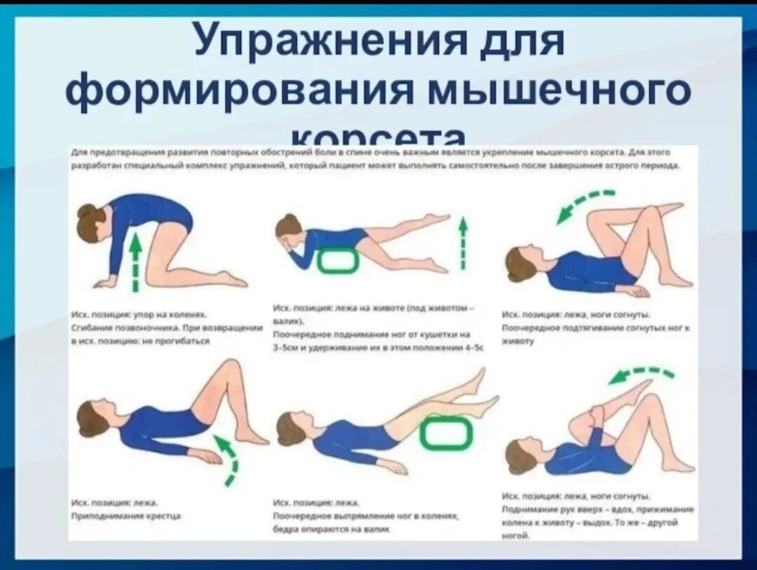 Упражнения для мышц живота и спины. Упражнения для формирования мышечного корсета. ЛФК упражнения для укрепления мышц позвоночника. Упражнения для развития мышечного корсета позвоночника. ЛФК для укрепления спинного корсета.