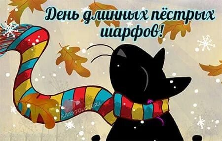 День длинных пестрых шарфов 29 октября картинки