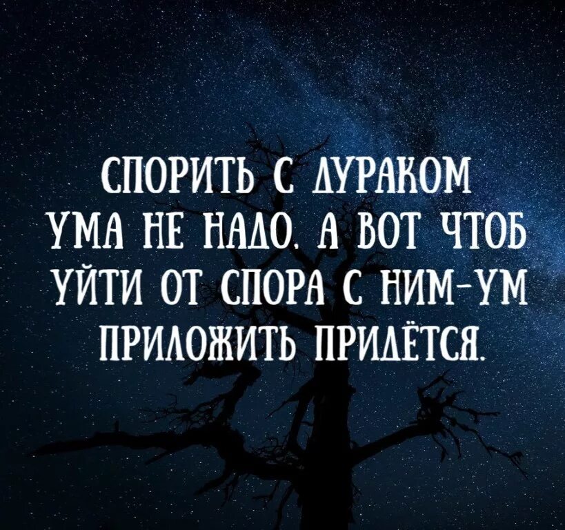 Пословица спорить спорь. Цитаты о спорах. Спорить с дураком цитаты. Высказывания о дураках. Мудрые высказывания про дураков.