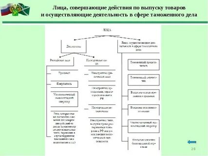 Таможенные операции совершаются таможенными органами