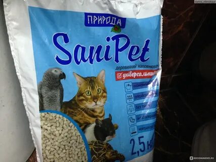 Котенок ест наполнитель