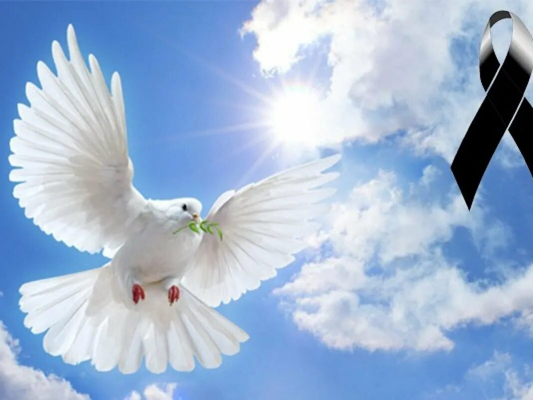 Бесплатные картинки с мирным небом