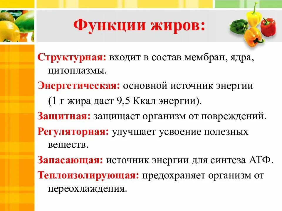 Какие функции выполняют жиры в организме человека