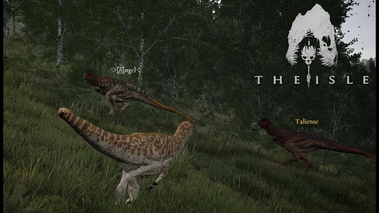 Карта эвримы the isle. Игра the isle evrima. карта эврима the isle. дейнозух the isle evrima. карта the isle evrima gateway.