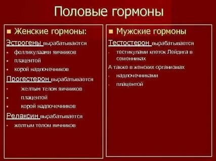 Мужской гормон у женщин почему