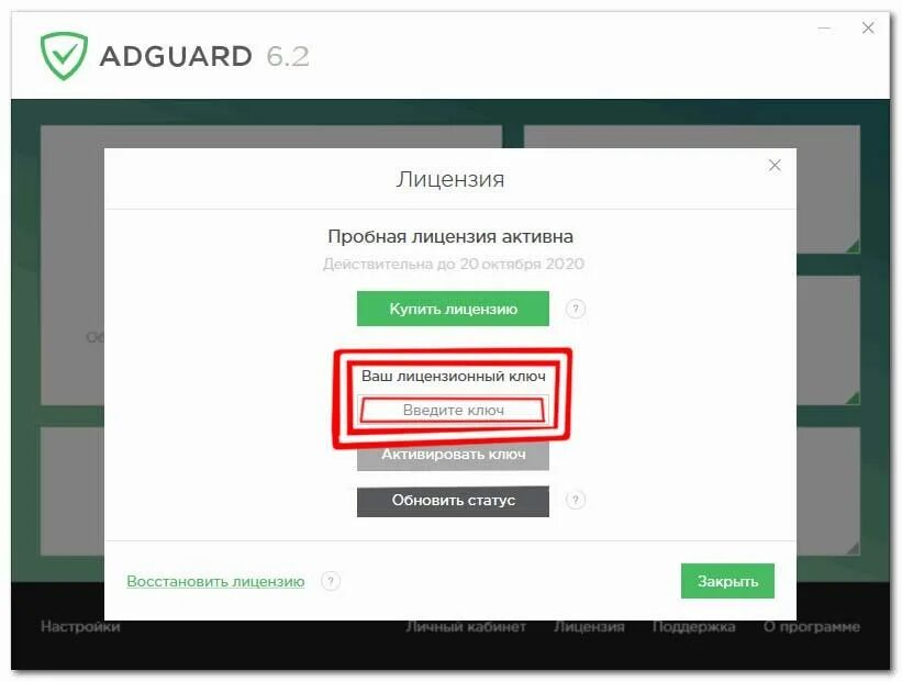 Активатор adguard. Adguard вечный лицензионный ключ 2022. Ключ Adguard. Adguard активация ключа. Adguard лицензия.