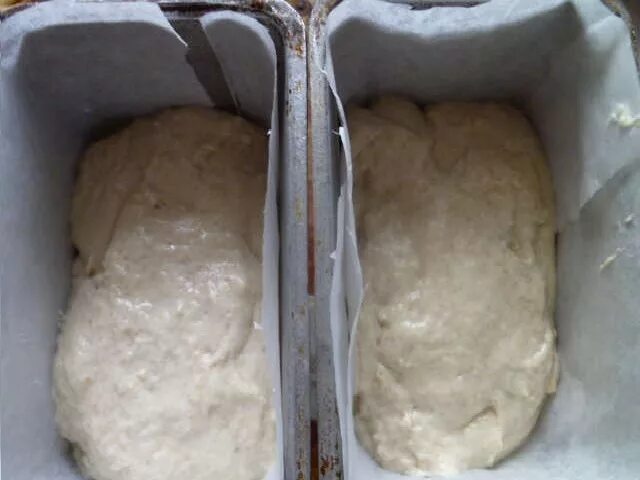 Тесто в форме для хлеба. Форма для выпечки хлеба в духовке. Тесто для формочек. Тесто для хлеба в формочке.