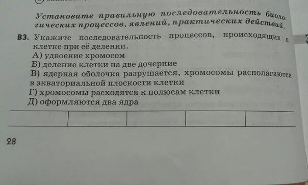 Верная последовательность биологических систем. Последовательность процессов происходящих при делении клетки. Правильная последовательность биологических процессов. Последовательность процессов при делении клетки.