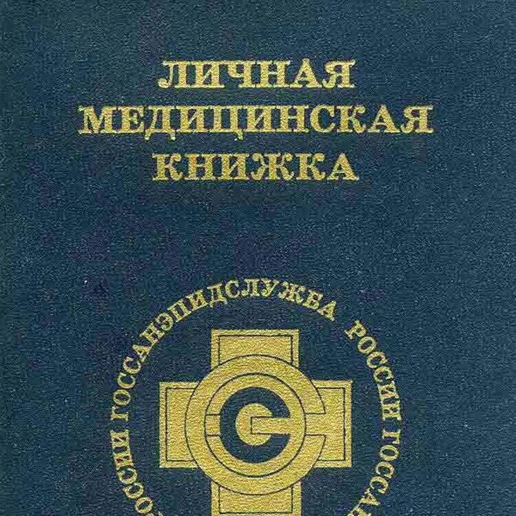 Медицинская книжка для школы. Медицинская книжка. Медицинская книжка. Санитарная книжка. Медицинская книжка для школы.