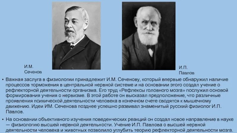 Роль отечественных ученых в развитии науки