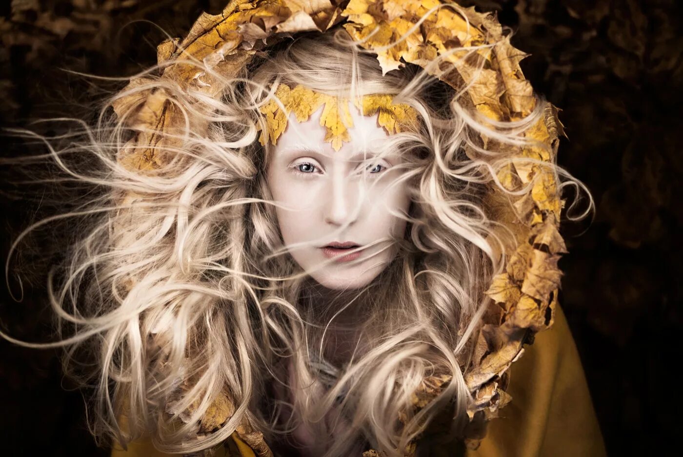 Дама ди. Кирсти Митчелл фотоработы. Кирсти Митчелл Kirsty Mitchell. Британский фотограф Кирсти Митчелл. Кирсти Митчелл фотографии.