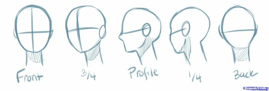 построение портрета сбоку. эндрю лумис лицо построение. форма головы карандашом. рисовка головы. рисование головы аниме.