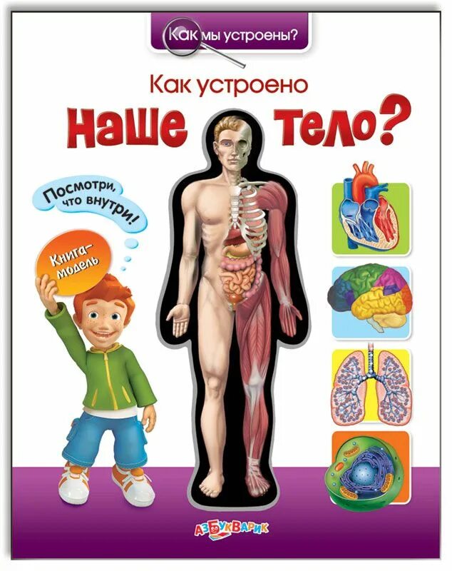 Книги в тело ребенка. Как обустроино тело человека. Детская книга про органы человека. Книжка анатомия для детей. Энциклопедия строение человека.