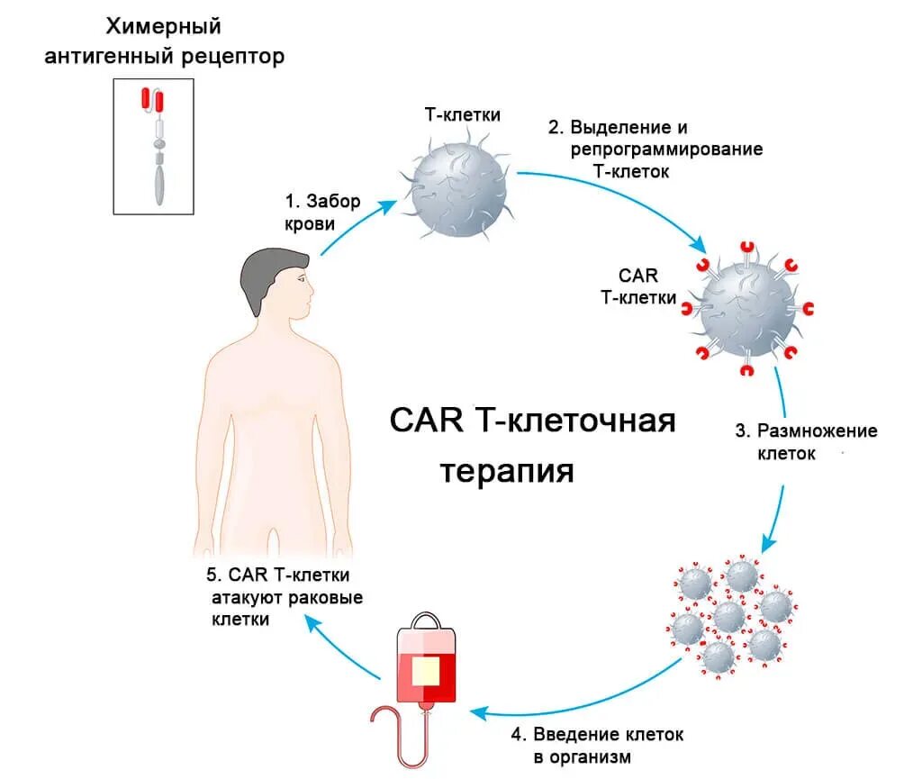 Какой вирус нарушает иммунную систему