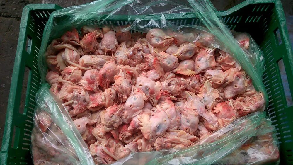 Можно ли давать собакам куриные головы. Головы куриные замороженные.