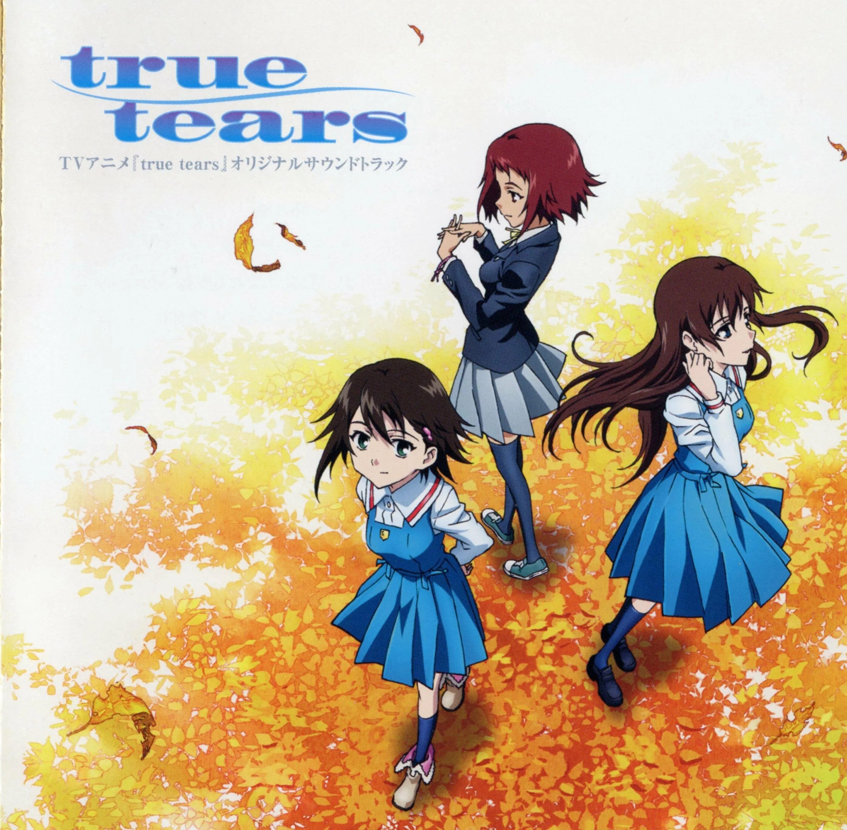 True tears. Ноэ исуруги. настоящие слёзы / true tears.