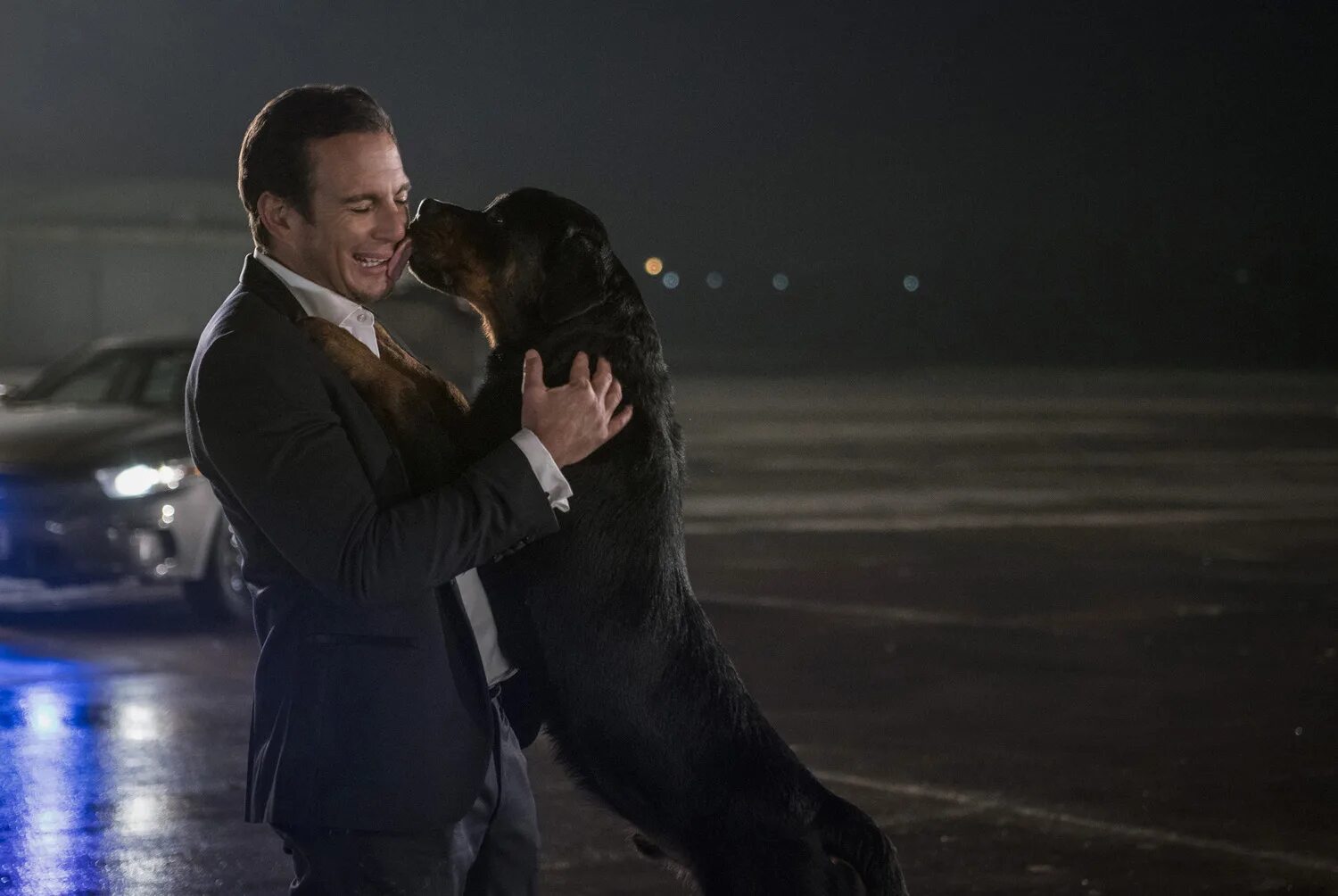 пес под прикрытием (2019). собаки под прикрытием. псы под прикрытием 2018. собаки под прикрытием. собаки под прикрытием.