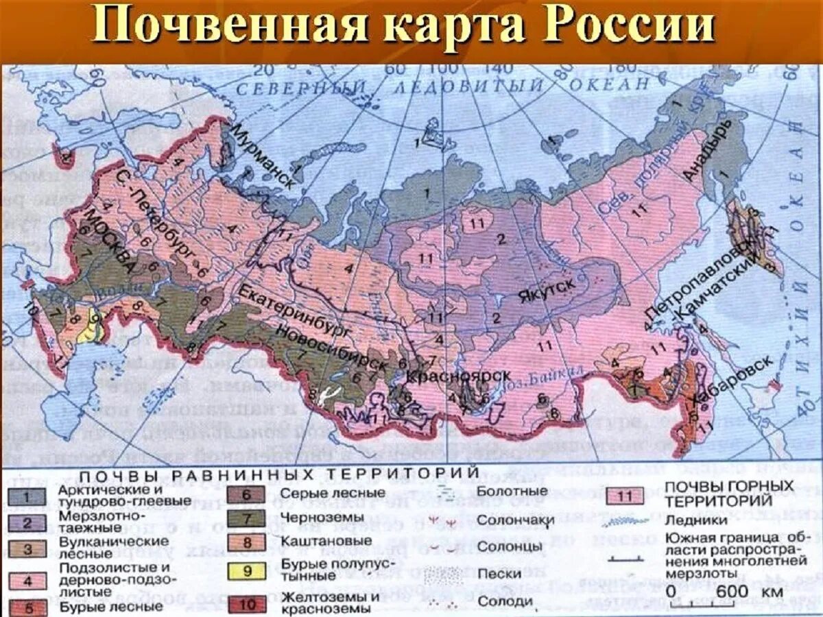 Почва северной евразии. Типы почв на территории России карта. Типы почв России карта. Карта плодородности почв России. Плодородные почвы России на карте.