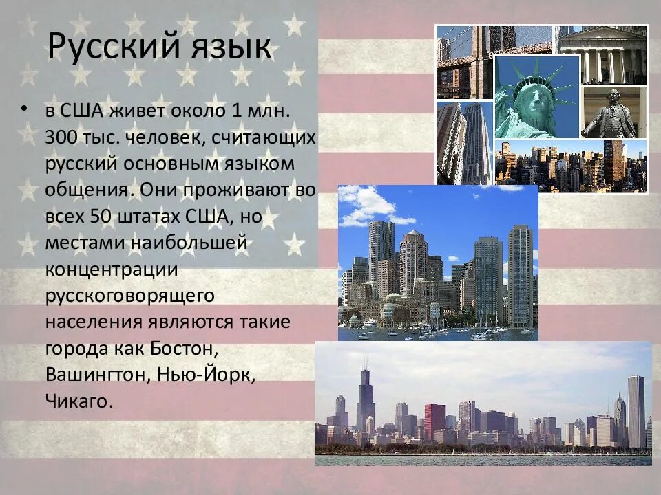Какой язык в америке является официальным. Русский язык в Америке. Языковая ситуация в США. Языки США. Какой язык в США.