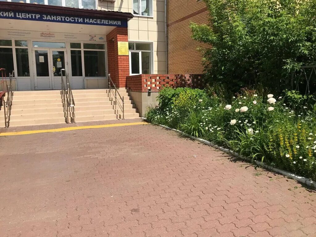 социальный спортивный колледж подольск. социальная подольск. социальный спортивный колледж подольск. нижегородская федерация волейбола. лига спорт реж сайт.