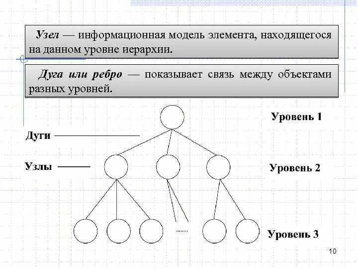 Выделение иерархических уровней в графе. Информационная модель осени в виде схемы. Иерархическая модель где дуги. Дуга или ребро Информатика. Информационные модели связи