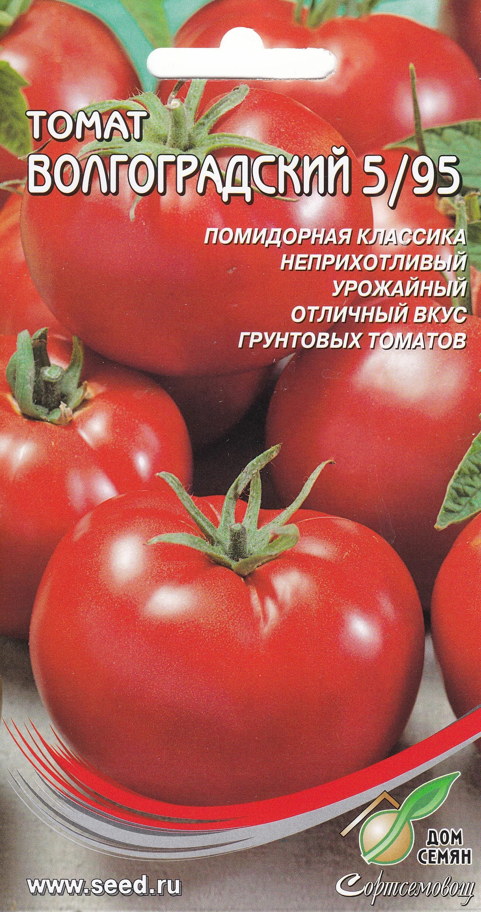 Томаты волгоградские отзывы фото урожайность. Сорт томатов Волгоградский 5/95. Волгоградский помидор 5/95 описание. Томат Волгоградский. Помидор Волгоградский семена.