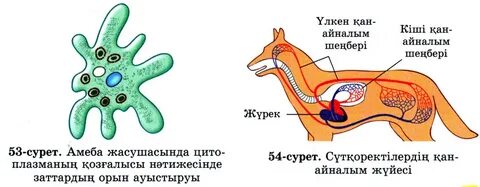 Анна Чиповская секс видео
