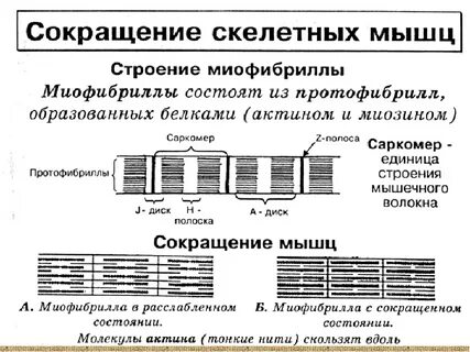 Сократили состояние