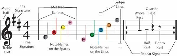 Lines musical. Теория музыки на гитаре. Bass and treble перевод. Staff число. Music staff.