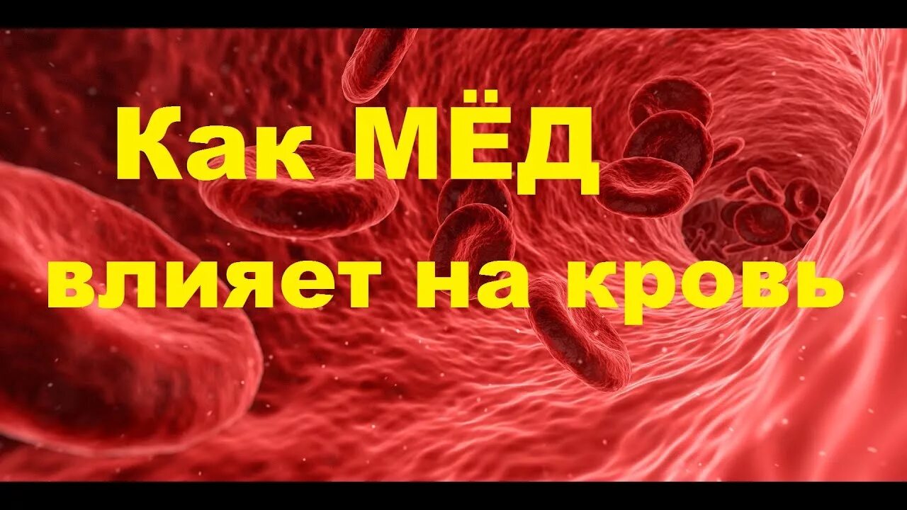 Кровь мед видео. Мед влияние на кровь. Медовая кровь. Мед и холестерин в крови.