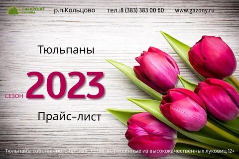 Сколько стоили тюльпаны в 2023 году