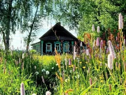 Летом в деревне предложение