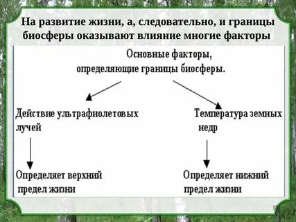 Границы влияние