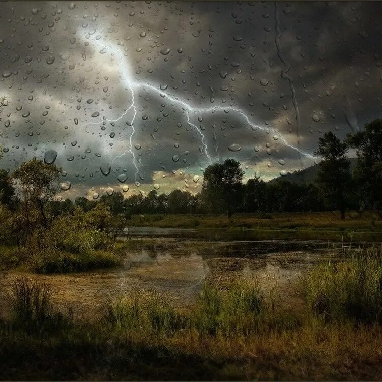 Thunder rain. Гроза и дождь. Ливень с грозой. Природа с грозой. Летняя гроза.