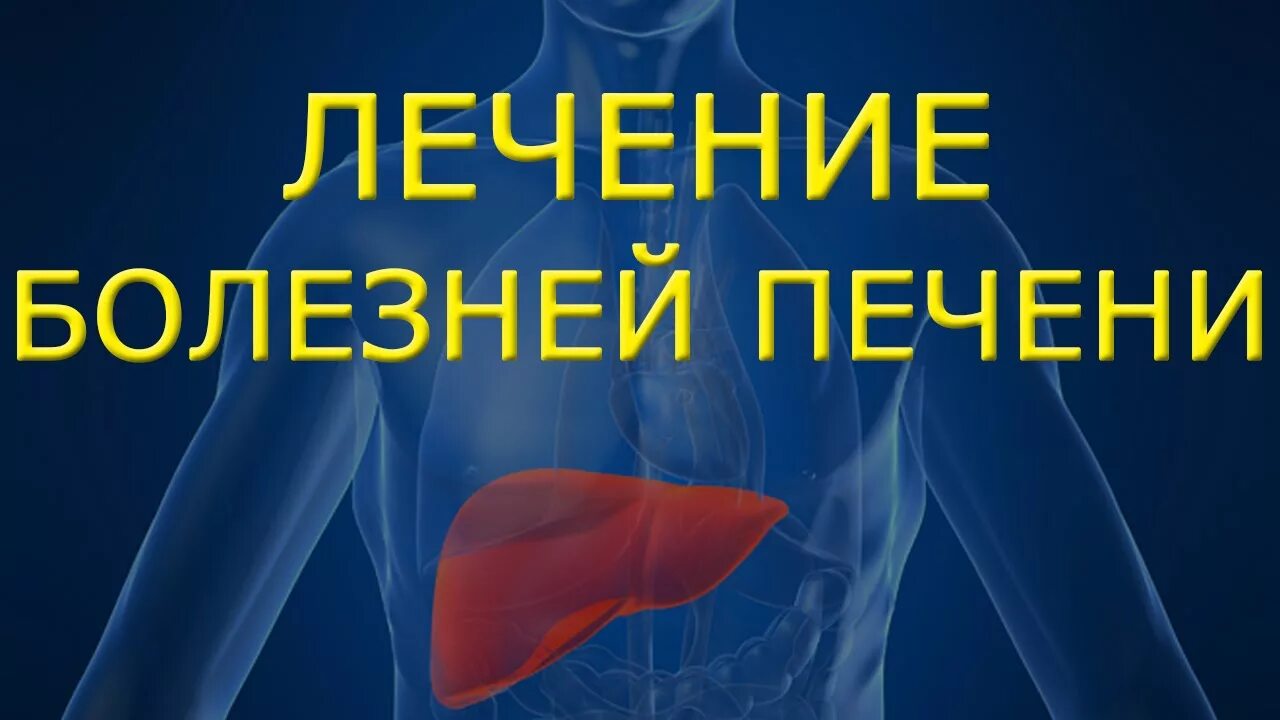 Как понять что с печенью. Терапия болезней печени. Печень болезни и лечение.