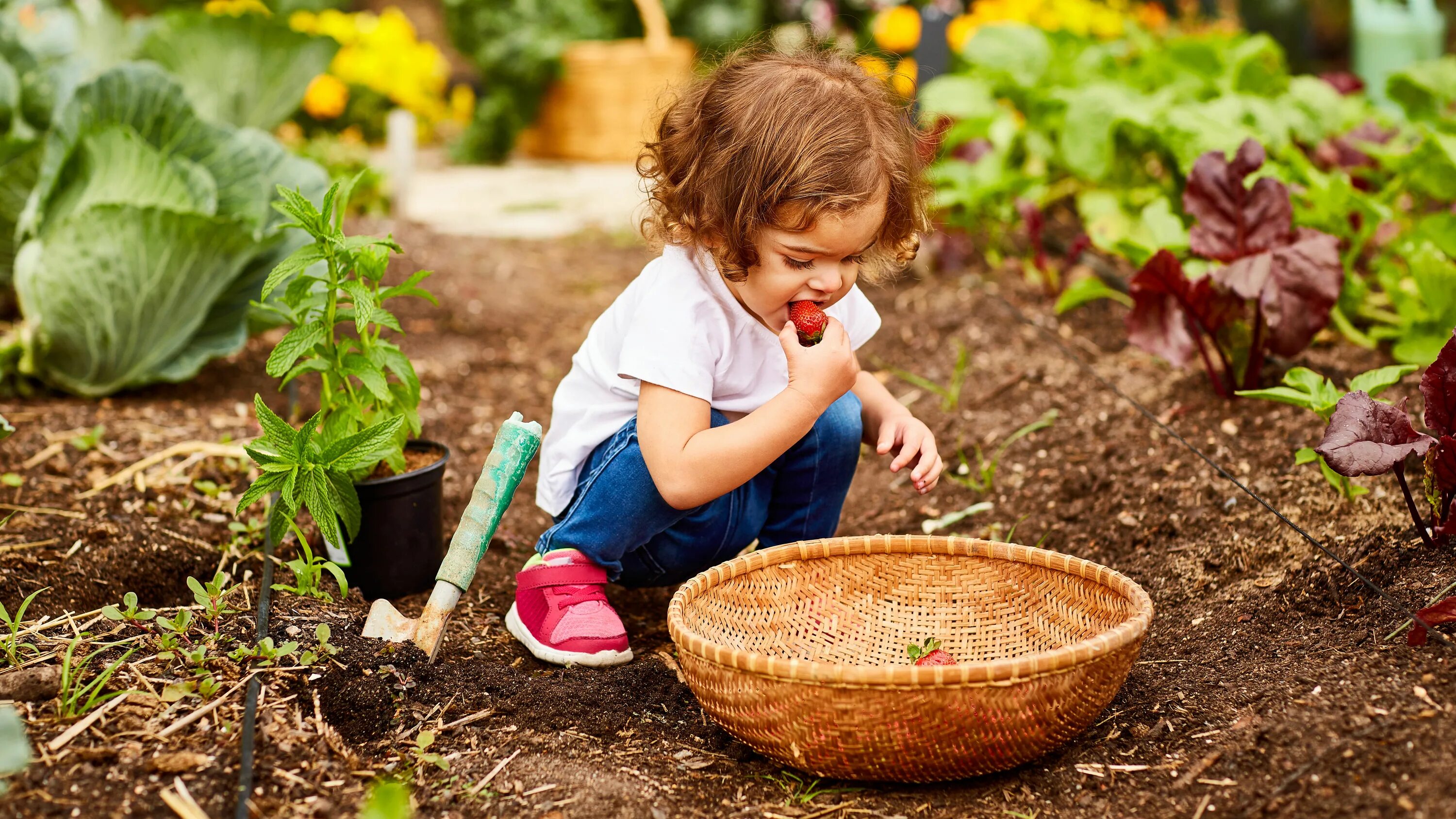 Огород для детей. Дети в саду. Садоводство для детей. Растения сада для детей.