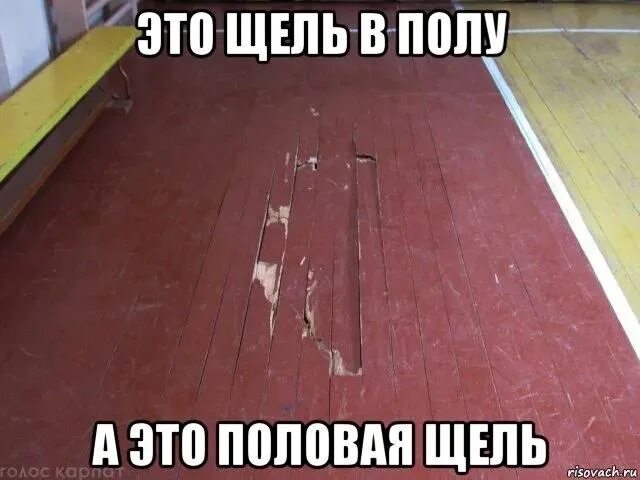 Эволюционная теория пола геодакяна. Почему не полу. Нужен ли радиатор если есть теплые полы. Почему не греет теплый пол. Просадка бетонного пола.