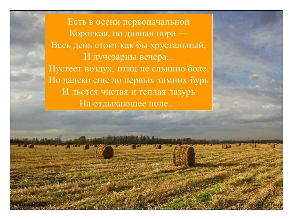 Есть в осени первоначальной определить размер. Есть в осени первоначальной определить размер. Есть в осени первоначальной определить размер. Стих есть в осени первоначальной короткая но дивная пора. Стихотворение есть в осени первоначальной.