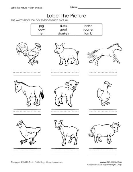 Label each picture