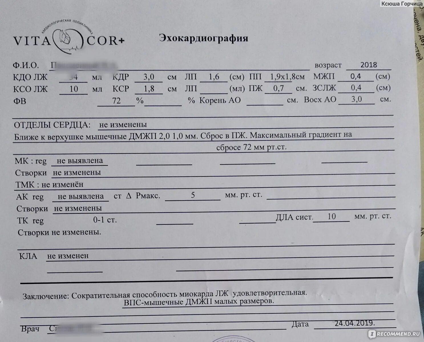 Протокол эхокг. Протокол узи сердца. протокол ультразвукового исследования сердца. эхокардиография сердца заключение.