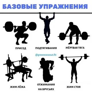Базовая тренировка для зала
