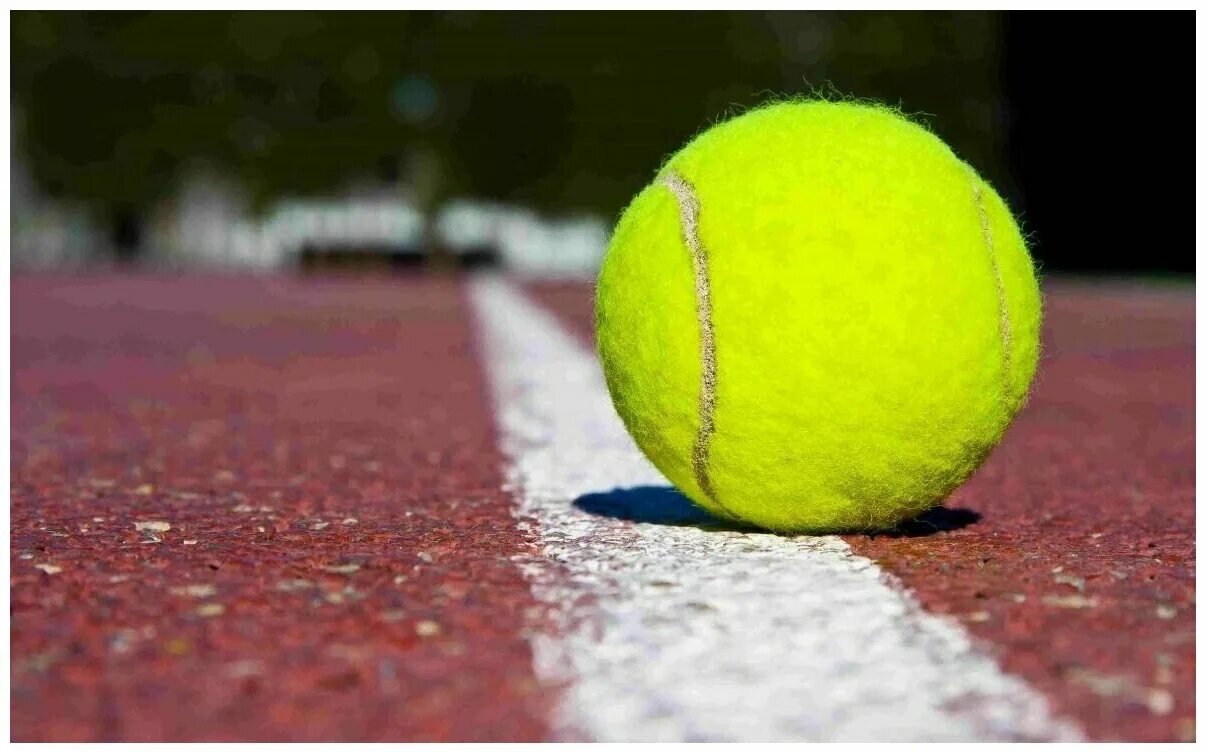 Фитбол (гимнастический мяч) orto sens'o'roll 88. Использовать мячик. Мячик с шипами для массажа. Колючие мячики су джок. Использовать мячик.